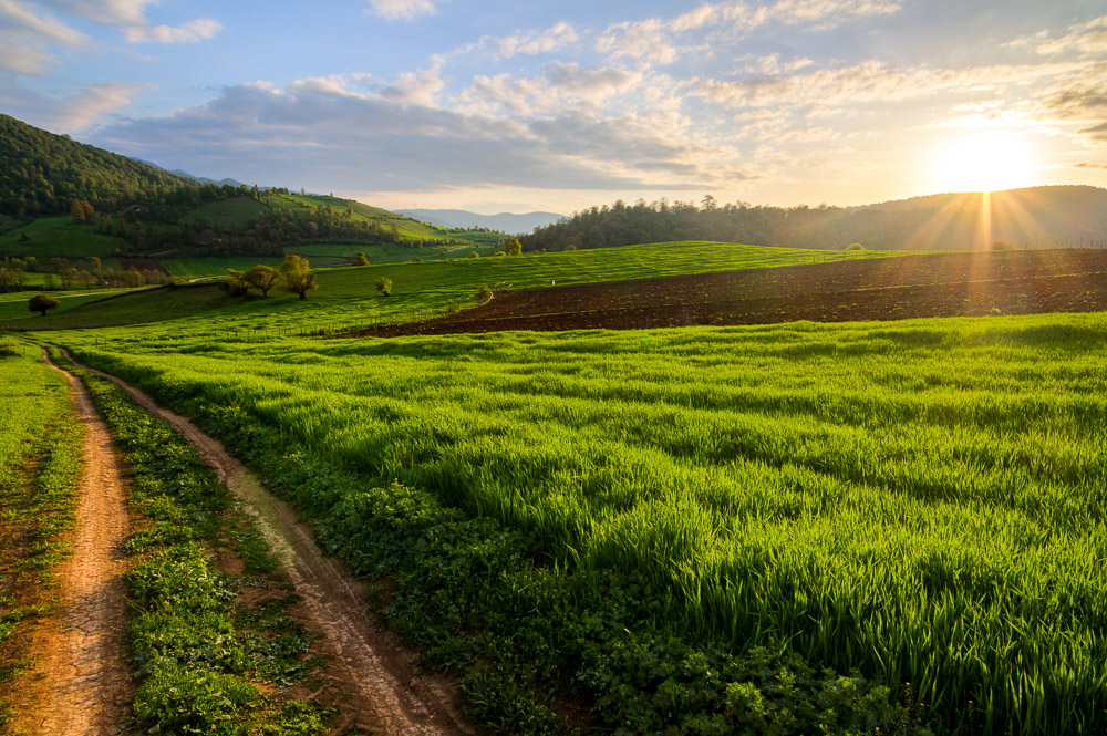 Kiasar nature, northern Iran