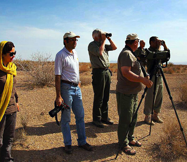 IRAN Birdwatching