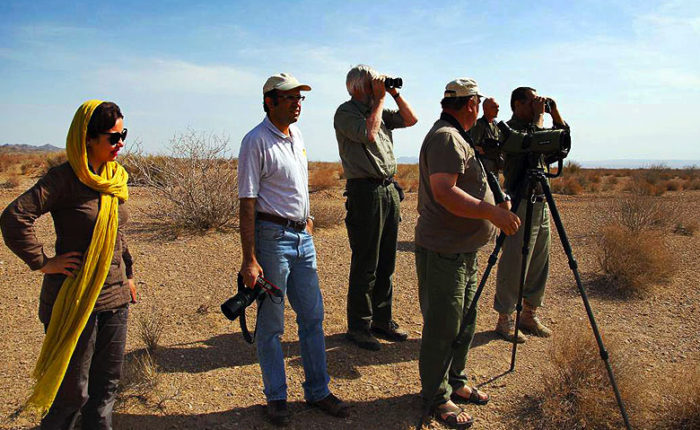 IRAN Birdwatching